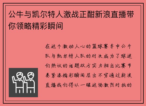 公牛与凯尔特人激战正酣新浪直播带你领略精彩瞬间